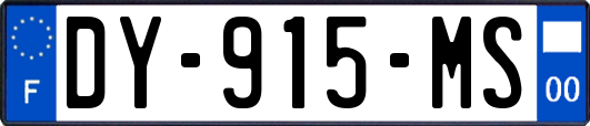 DY-915-MS