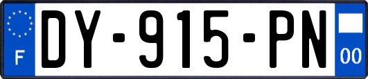 DY-915-PN