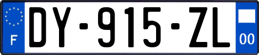 DY-915-ZL