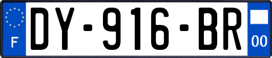 DY-916-BR