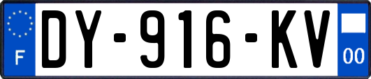 DY-916-KV