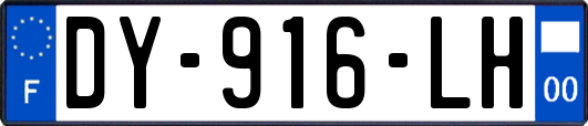 DY-916-LH