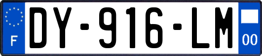 DY-916-LM
