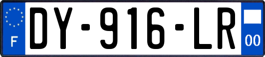 DY-916-LR