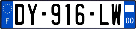 DY-916-LW