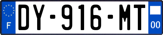 DY-916-MT