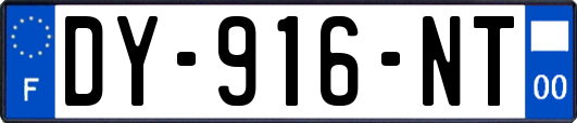 DY-916-NT