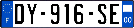 DY-916-SE