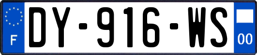 DY-916-WS