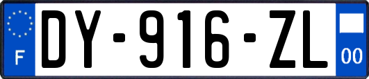 DY-916-ZL