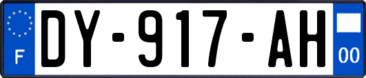 DY-917-AH