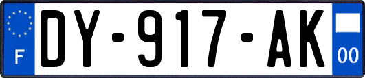 DY-917-AK
