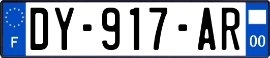 DY-917-AR