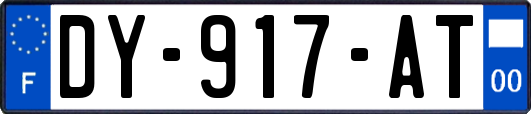 DY-917-AT