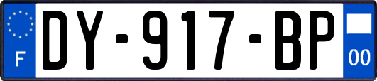DY-917-BP