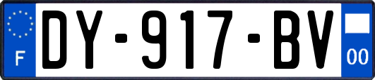 DY-917-BV