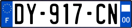 DY-917-CN