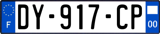 DY-917-CP