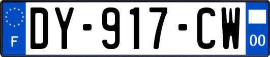 DY-917-CW