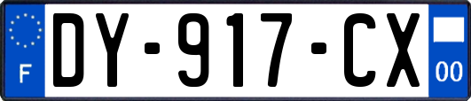 DY-917-CX