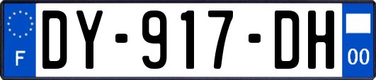 DY-917-DH