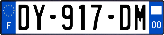 DY-917-DM