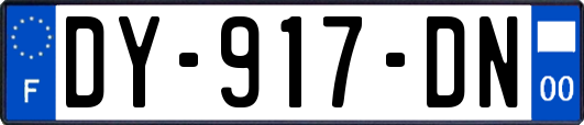 DY-917-DN