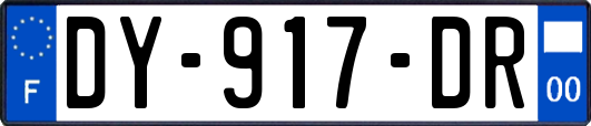 DY-917-DR