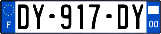 DY-917-DY