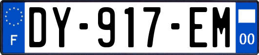 DY-917-EM