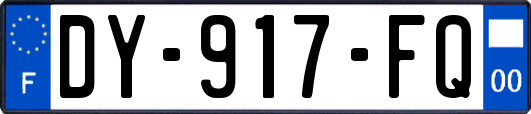 DY-917-FQ