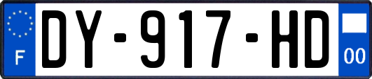 DY-917-HD