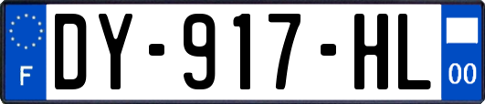 DY-917-HL