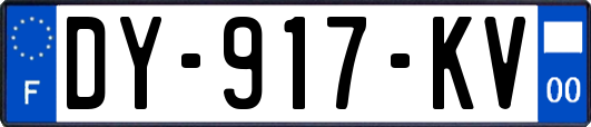 DY-917-KV