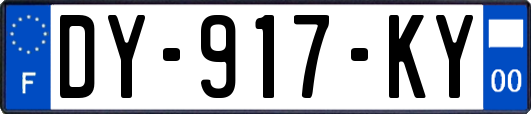 DY-917-KY