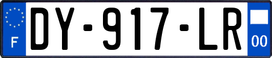 DY-917-LR