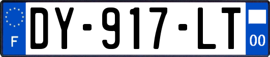 DY-917-LT