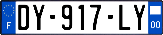 DY-917-LY