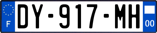 DY-917-MH