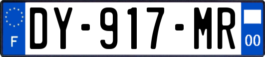 DY-917-MR