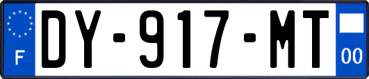 DY-917-MT