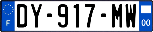 DY-917-MW