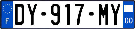 DY-917-MY