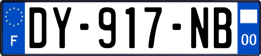 DY-917-NB