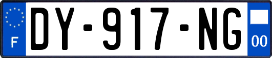 DY-917-NG