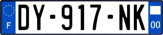 DY-917-NK