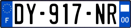 DY-917-NR