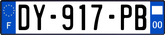 DY-917-PB