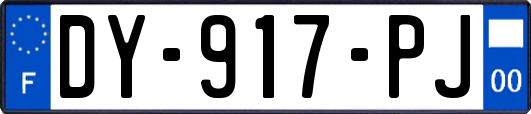 DY-917-PJ