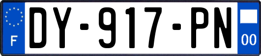 DY-917-PN